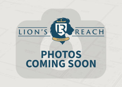 Photos Coming Soon Lions Reach Copy